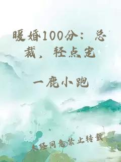 暖婚100分：总裁，轻点宠