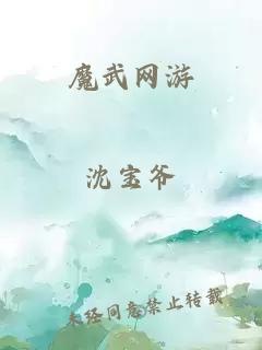 魔武网游