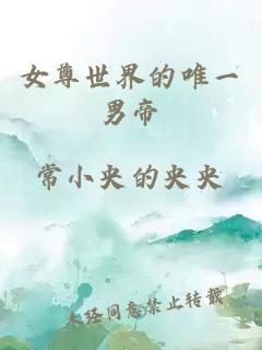 女尊世界的唯一男帝