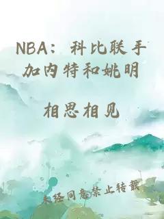 NBA：科比联手加内特和姚明