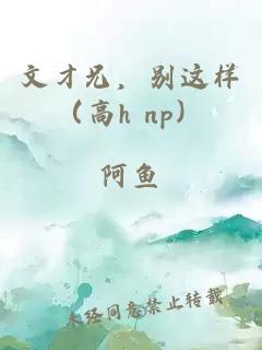 文才兄，别这样（高h np）