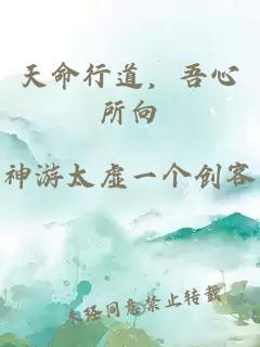 天命行道，吾心所向