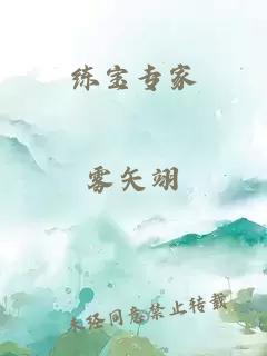 练宝专家