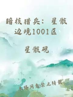 暗核猎兵：星骸边境1001区