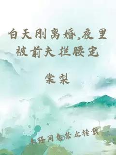 白天刚离婚,夜里被前夫拦腰宠