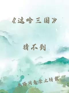 《这啥三国》