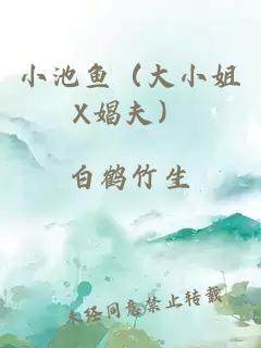 小池鱼（大小姐X娼夫）