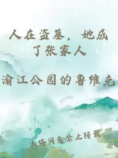 人在盗墓，她成了张家人