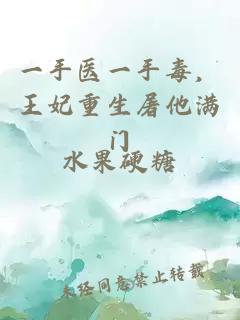 一手医一手毒，王妃重生屠他满门