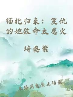 缅北归来：复仇的她致命太惹火