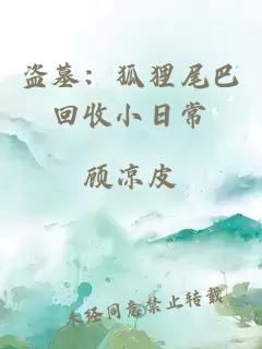 盗墓：狐狸尾巴回收小日常