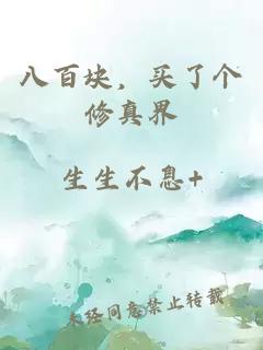 八百块，买了个修真界