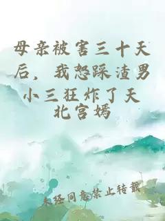 母亲被害三十天后，我怒踩渣男小三狂炸了天