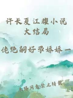 许长夏江耀小说大结局