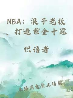 NBA：浪子老板，打造紫金十冠