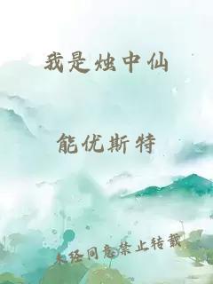 我是烛中仙