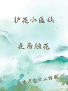 护花小医仙