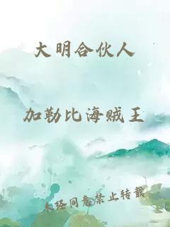 大明合伙人