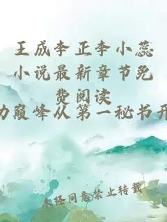 王成李正李小蕊小说最新章节免费阅读