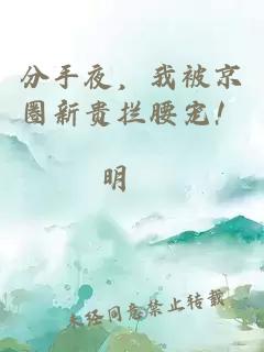 分手夜，我被京圈新贵拦腰宠！