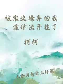 被宗族嫌弃的我，靠律法开挂了