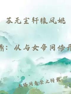苏无尘轩辕凤姚