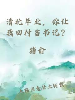 清北毕业，你让我回村当书记？