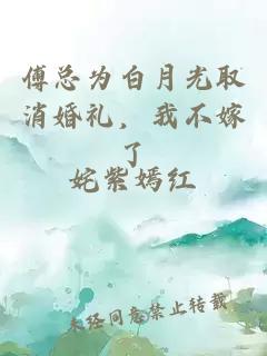 傅总为白月光取消婚礼，我不嫁了