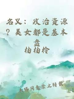 名义：政治资源？美女都是基本盘