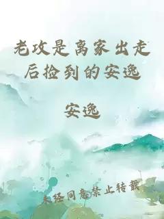 老攻是离家出走后捡到的安逸