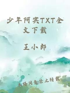 少年阿宾TXT全文下载