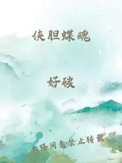 侠胆蝶魂