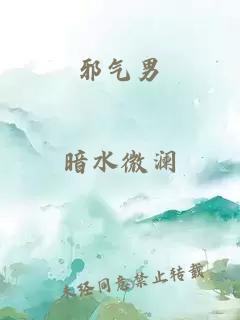 邪气男