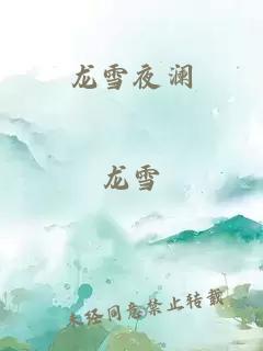龙雪夜澜