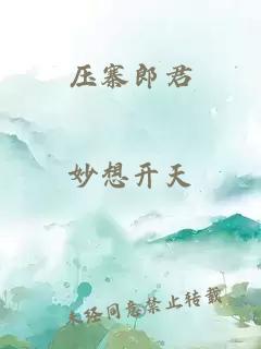 压寨郎君