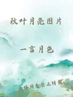 秋叶月亮图片