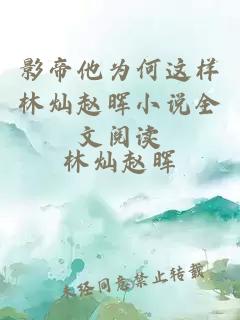 影帝他为何这样林灿赵晖小说全文阅读
