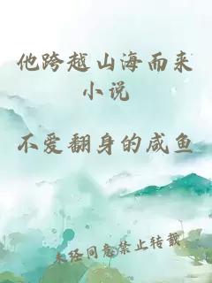 他跨越山海而来小说