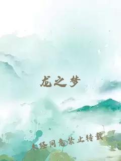 龙之梦