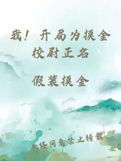 我！开局为摸金校尉正名