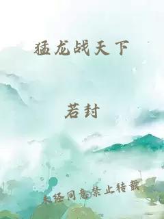 猛龙战天下
