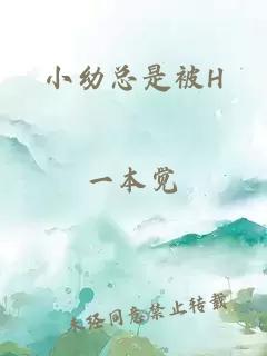 小幼总是被H