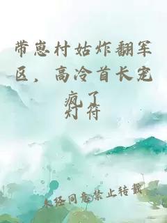 带崽村姑炸翻军区，高冷首长宠疯了
