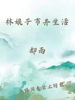 林娘子市井生活