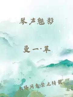 琴声魅影