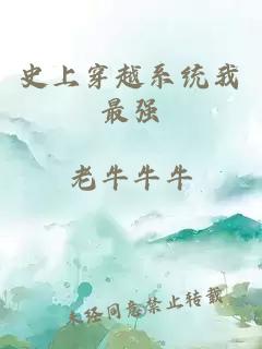 史上穿越系统我最强