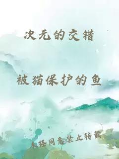 次元的交错