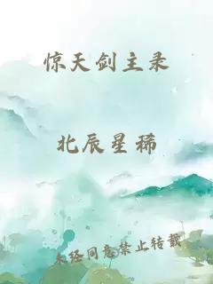 惊天剑主录