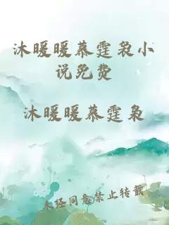沐暖暖慕霆袅小说免费