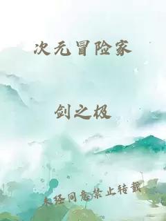 次元冒险家